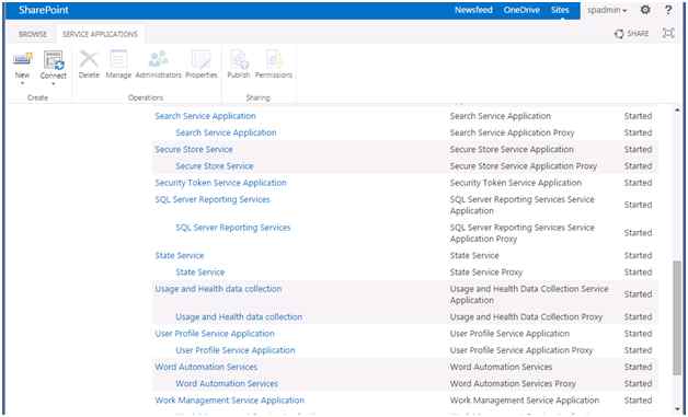 SSRS service application